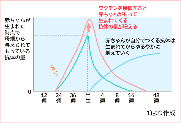 胎児と新生児がもつ抗体の量のイメージ図