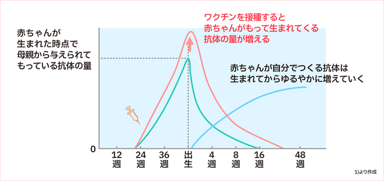 胎児と新生児がもつ抗体の量のイメージ図